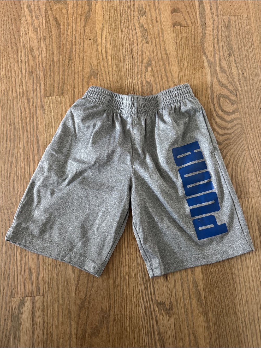 Puma Gray Shorts with Blue Vertical Logo
